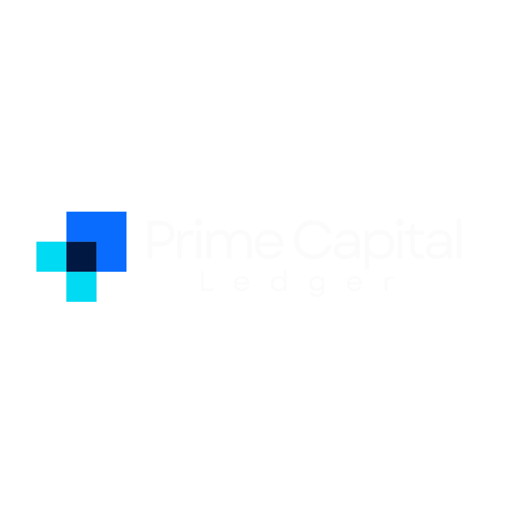 Prime Capital Ledger